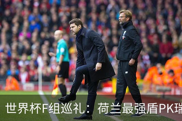 世界杯F组巡礼：荷兰最强盾PK瑞典犀利刀 日本短板明显
