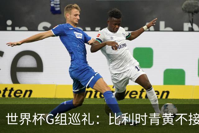 世界杯G组巡礼：比利时青黄不接 伊朗赴美参赛风波不断